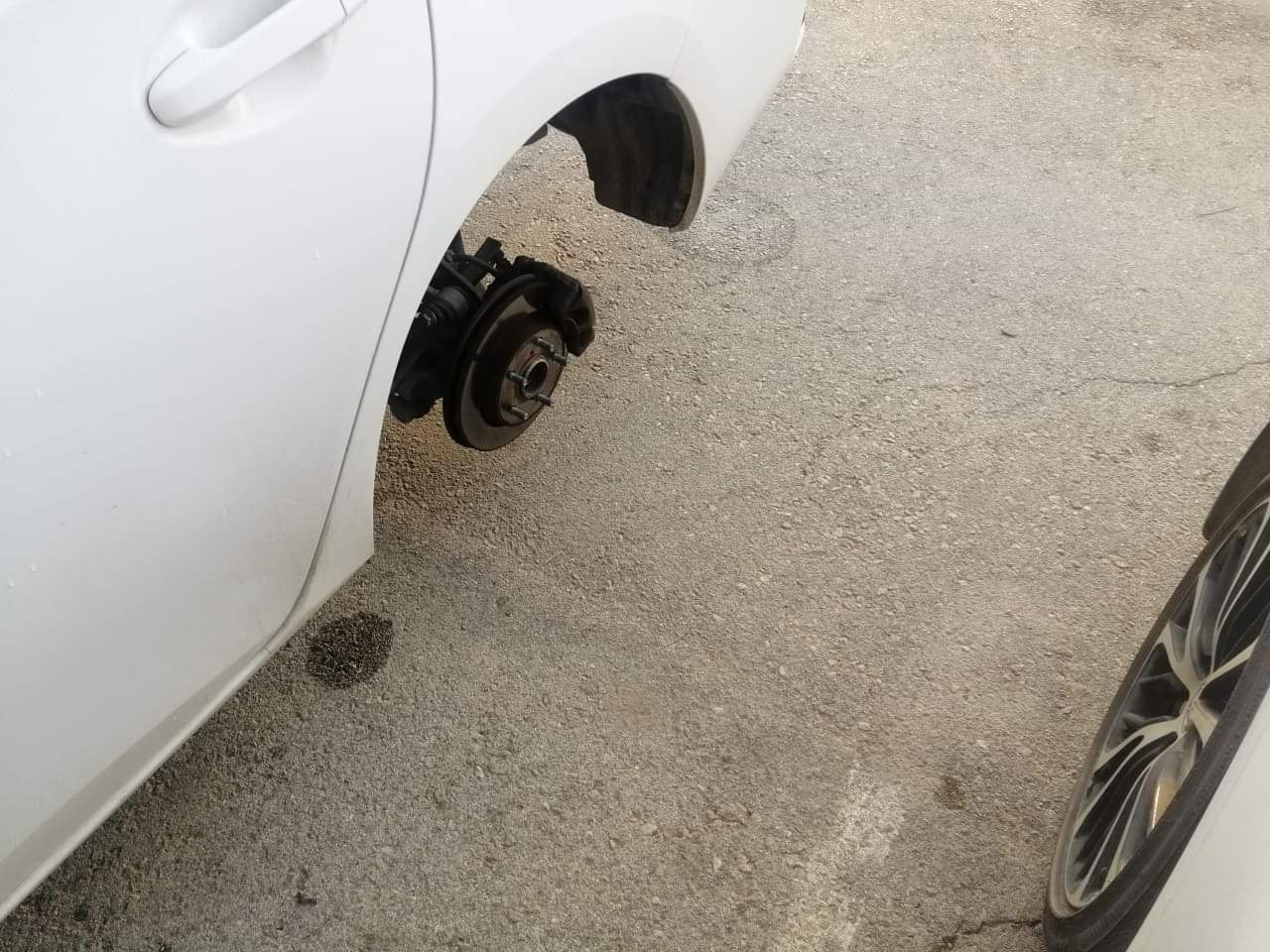 צילום סלולרי